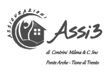 Partner 12