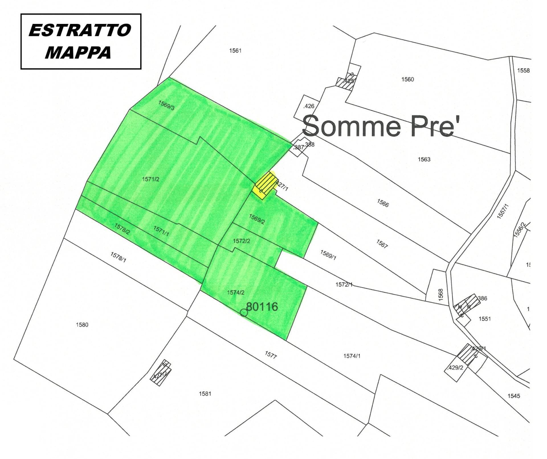Planimetria 17